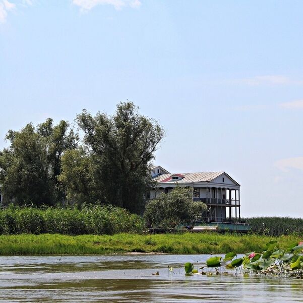 Волга-Дельта, Астраханская область: фото 3