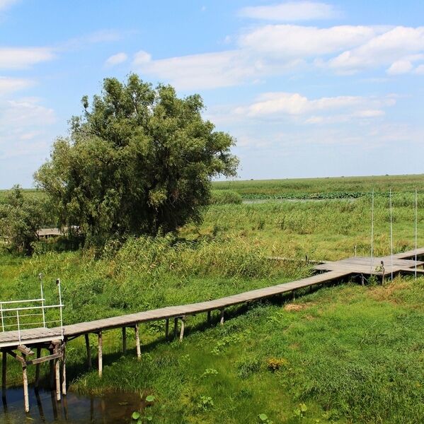 Волга-Дельта, Астраханская область: фото 4