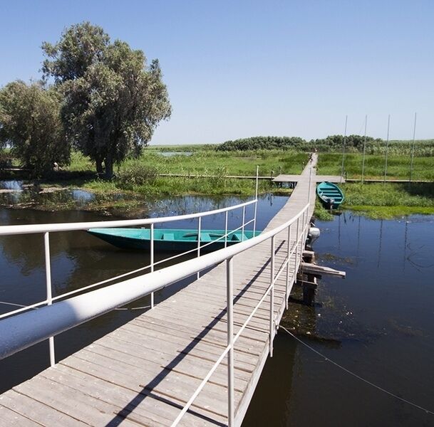 Волга-Дельта, Астраханская область: фото 5