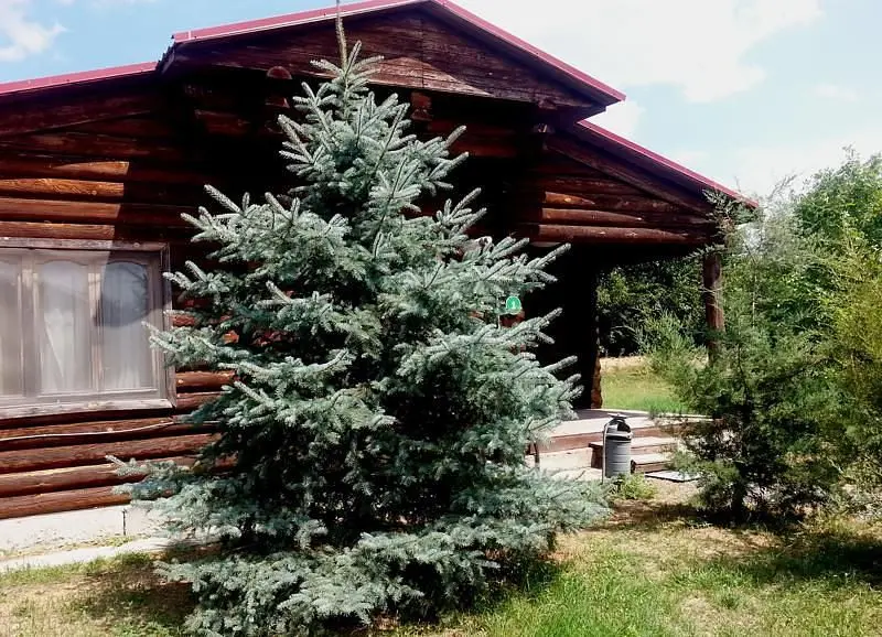 Рыбалкино, Астраханская область: фото 4