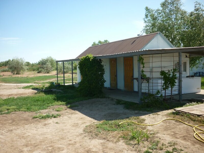 Волчок, Астраханская область: фото 5