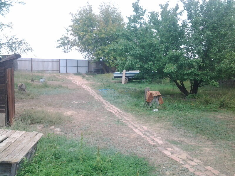 Судачий берег, Астраханская область: фото 5