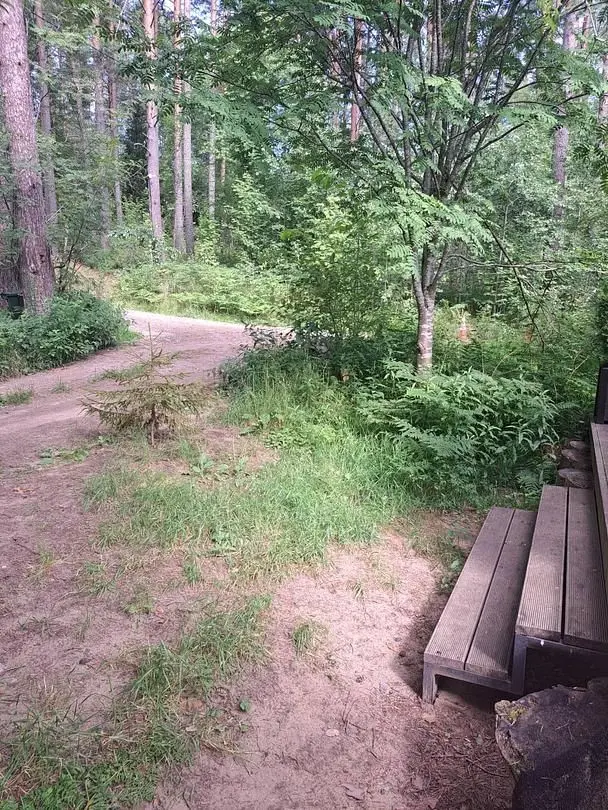Фото 4 из отзыва о глэмпинге Ecos 360