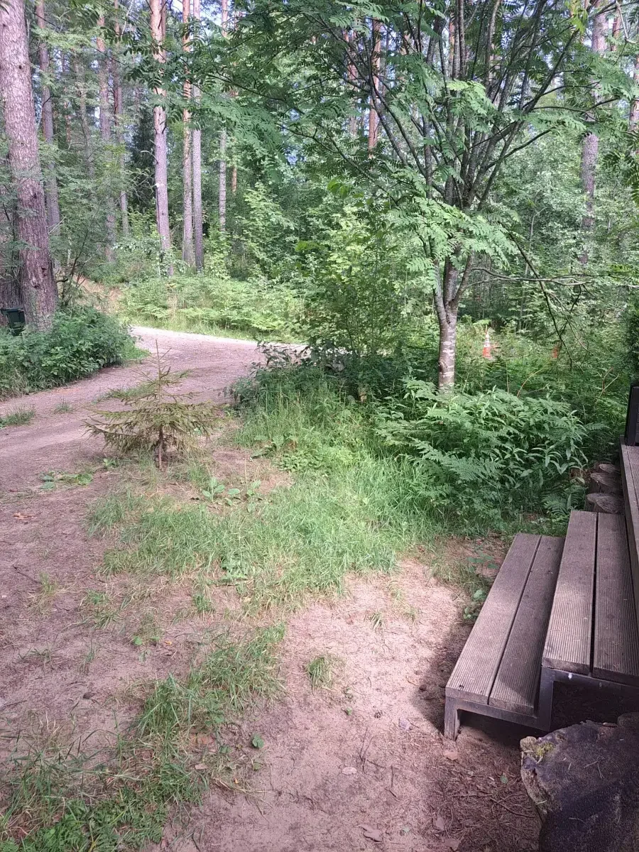 Фото 4 из отзыва о глэмпинге Ecos 360