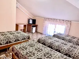 4-х местный стандарт Корпус 1 в мансарде, Гостевой дом Белая лебедь, Геленджик