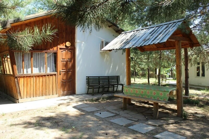 Губерния, Волгоградская область: фото 2