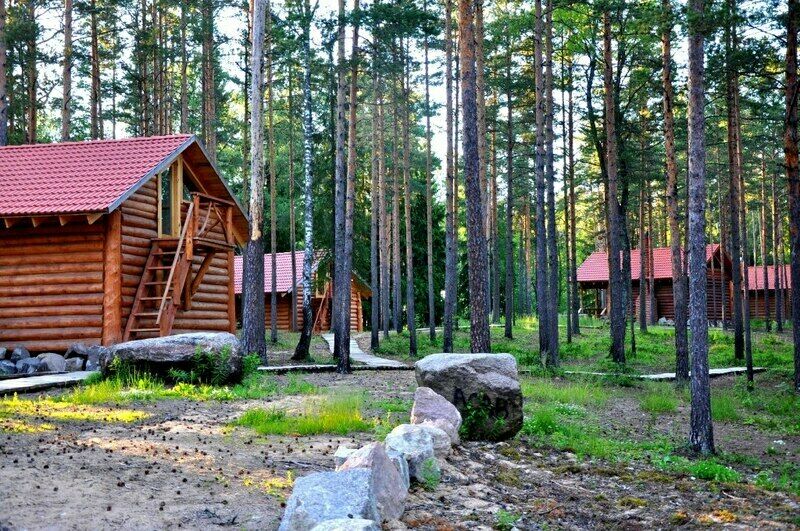 Кургала, Ленинградская область: фото 4