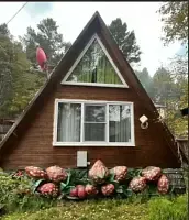 Семейный коттедж с видом на горы, База отдыха Байкальский Край, поселок Листвянка