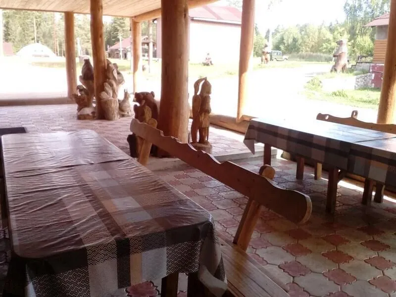 Сахалин (на Лужском), Ленинградская область: фото 4