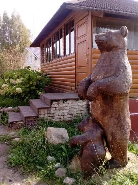 Сахалин (на Лужском), Ленинградская область: фото 5