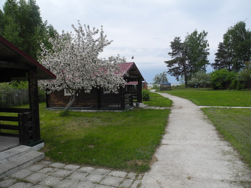 Анохово, Псковская область: фото 2