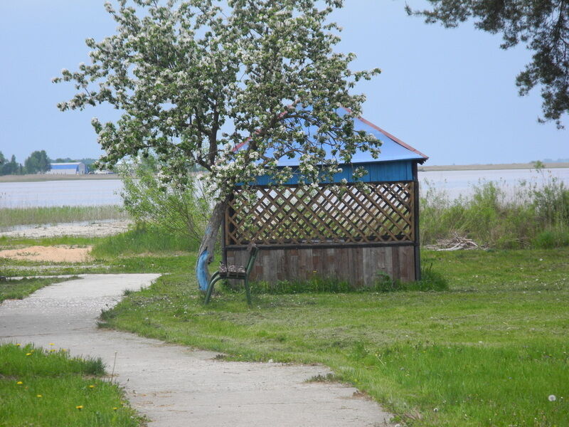 Анохово, Псковская область: фото 4