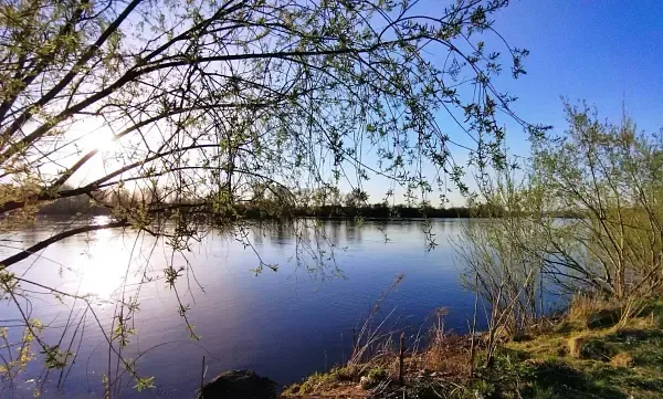 Природа реки Енисей