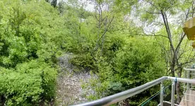 Полулюкс, Гостевой дом Кедр - Запад, Алупка