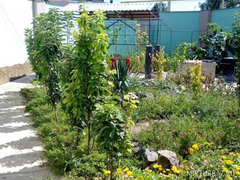 На Тучина 91, Крым: фото 5