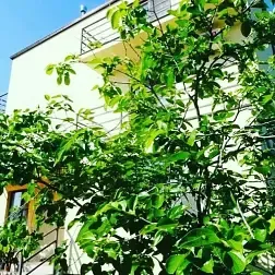 Гостевой дом Уют