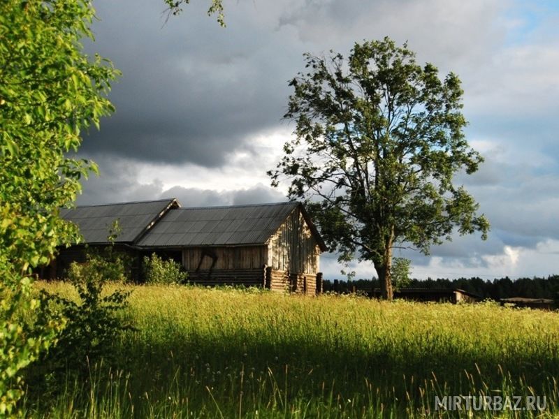 Северная надежда, Костромская область: фото 2