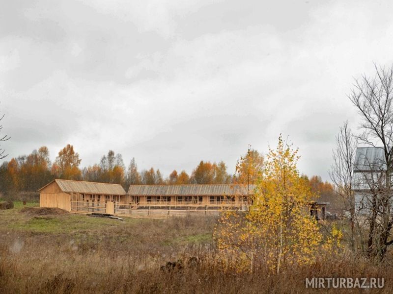 Северная надежда, Костромская область: фото 4