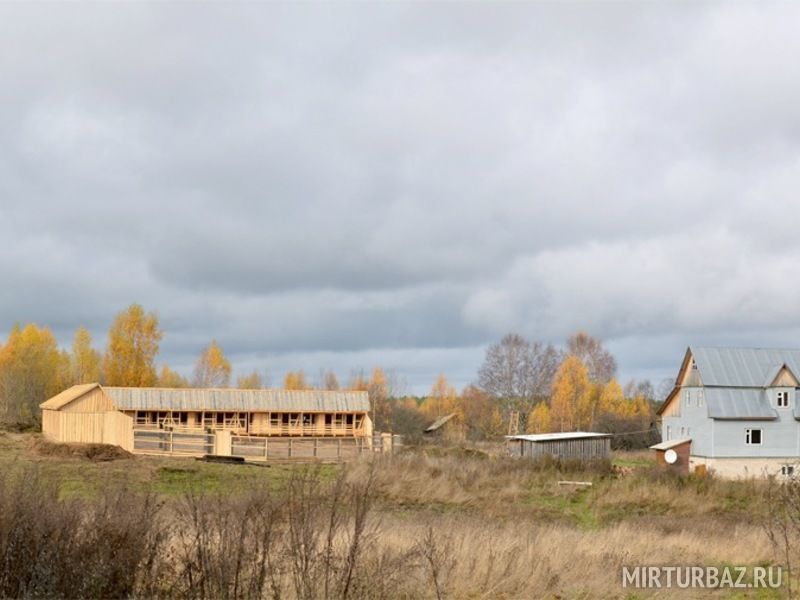 Северная надежда, Костромская область: фото 5