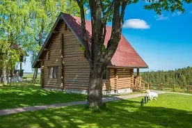 Золотой дом 4+2 на первой линии, База отдыха Пан Фазан, поселок Токсово