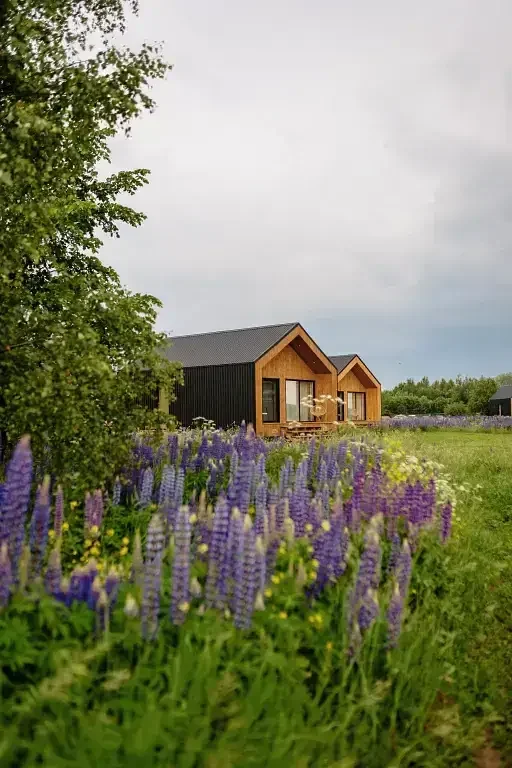 Гостевой дом Петра Эко Деревня (Petra Eco Village), Московская область, Ногинск 
