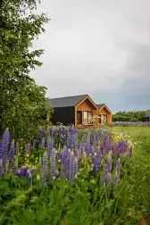 Гостевой дом Петра Эко Деревня (Petra Eco Village)