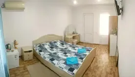 Двухместный номер Standard с балконом и с красивым видом из окна (двуспальная кровать), Гостевой дом София, Сочи