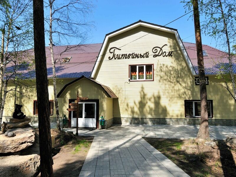 Лесное поместье, Челябинская область: фото 5