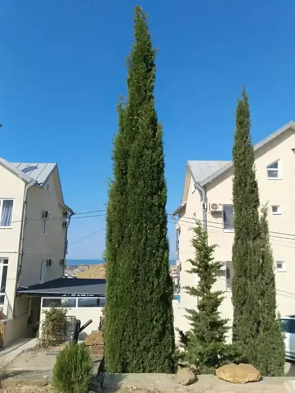 Гостевой дом Девятый Вал, Крым, Судак 