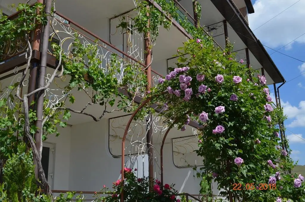 Мини-отель TeremOK Inn, Крым: фото 4