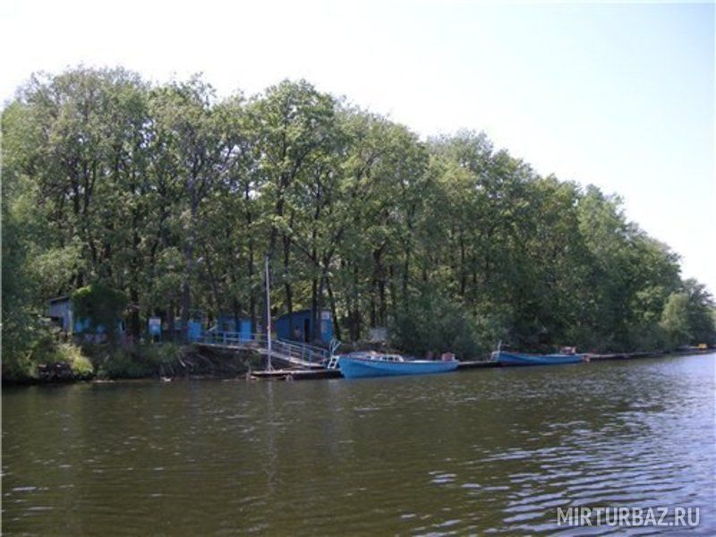 турбаза на берегу | Молния, Саратовская область