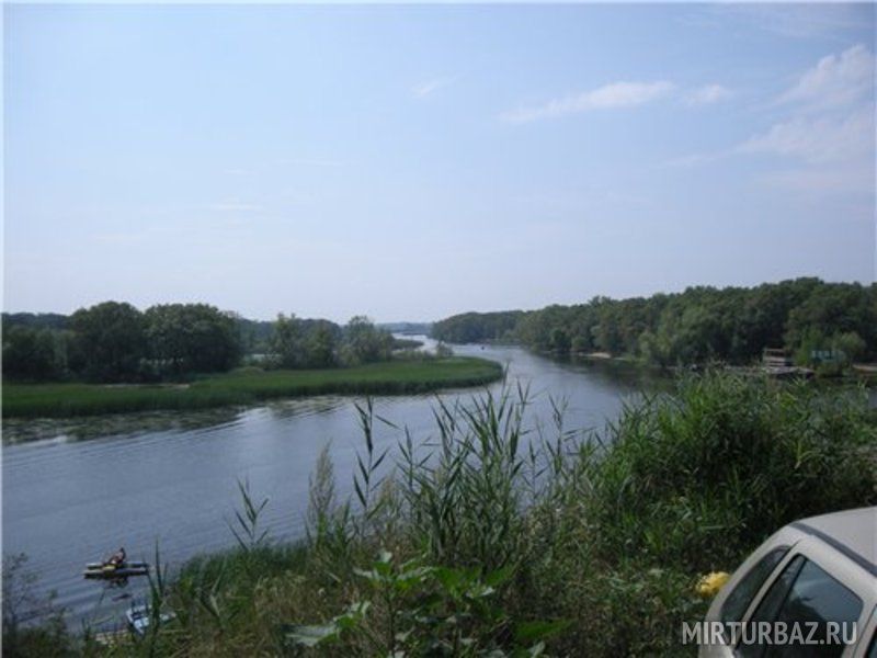 Волга с берега | Молния, Саратовская область