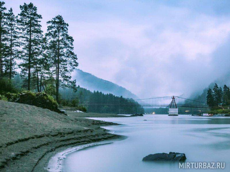 Царская охота, Горный Алтай (Республика Алтай): фото 5