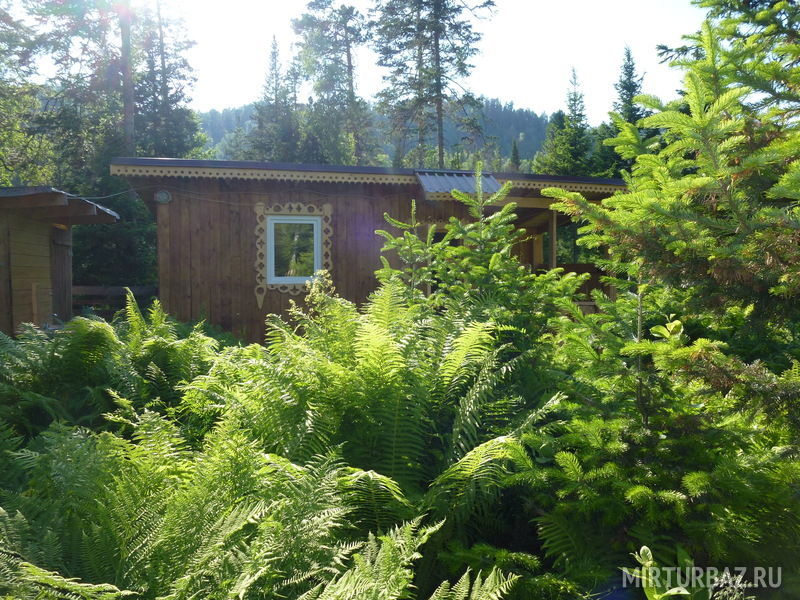 Медвежья берлога, Горный Алтай (Республика Алтай): фото 4