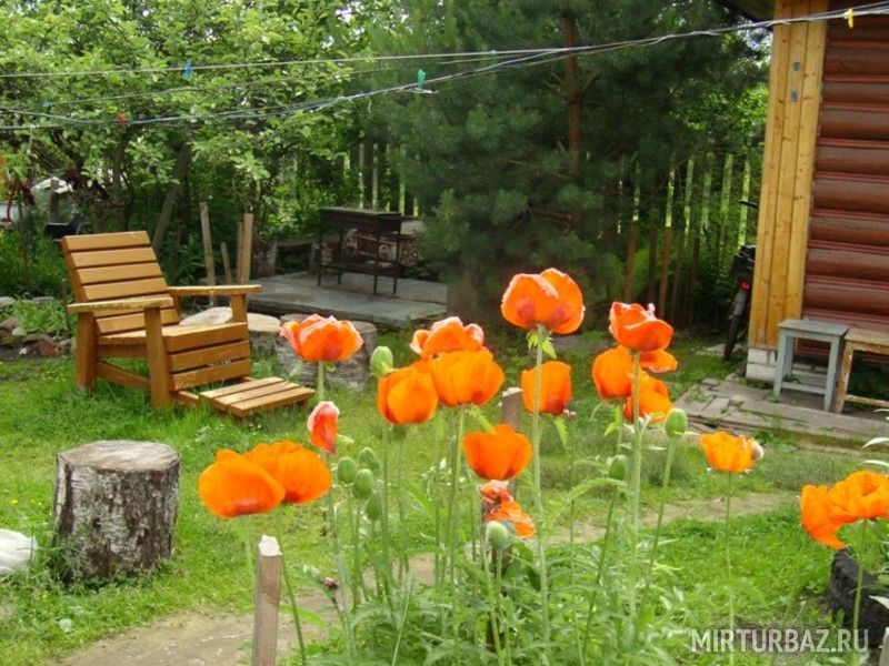 Бревенчатый, Тверская область: фото 5