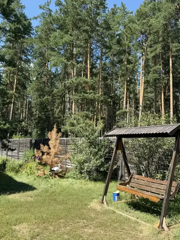 В лесу — База отдыха «Тихая гавань», Бузулукский