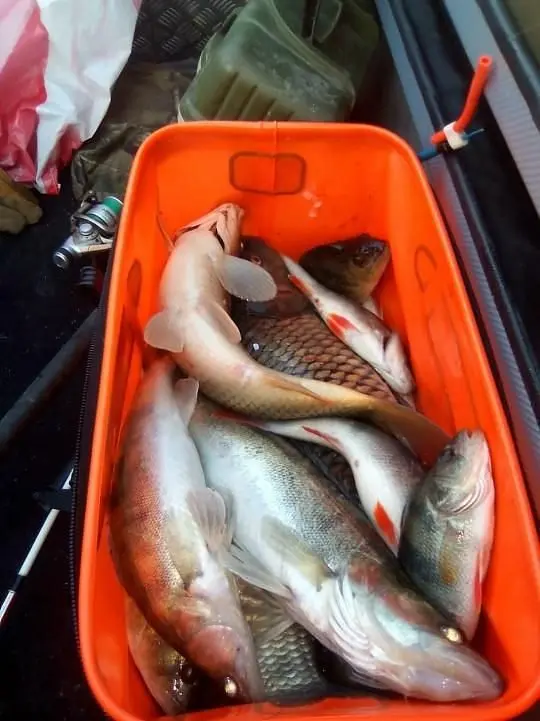Рыбалка с егерем — Дома в аренду «Marlin-KZN», Лаишевский