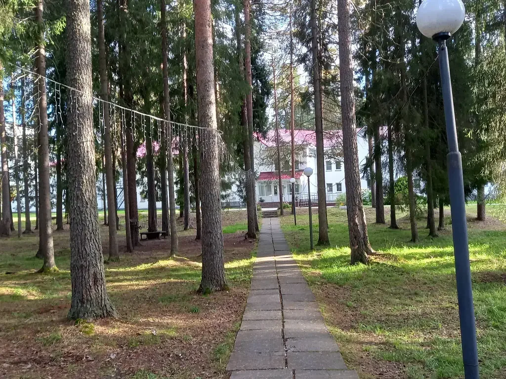 Фото из отзыва от 24.08.2026