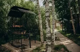 Афрейм 2-мест.Black, База отдыха Берёзовая роща, Васюково