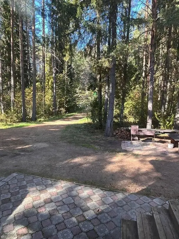 Мангальная зона