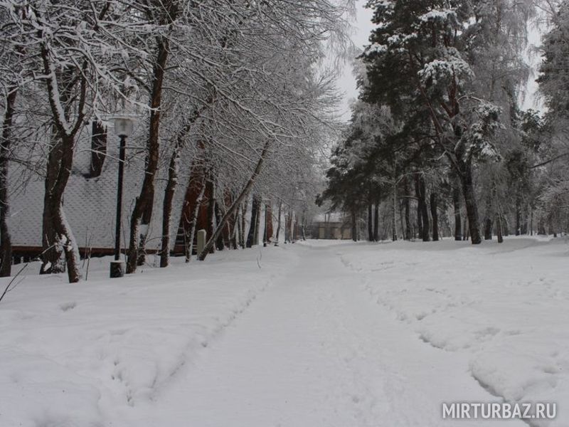 Солнечная на Оке, Калужская область: фото 4