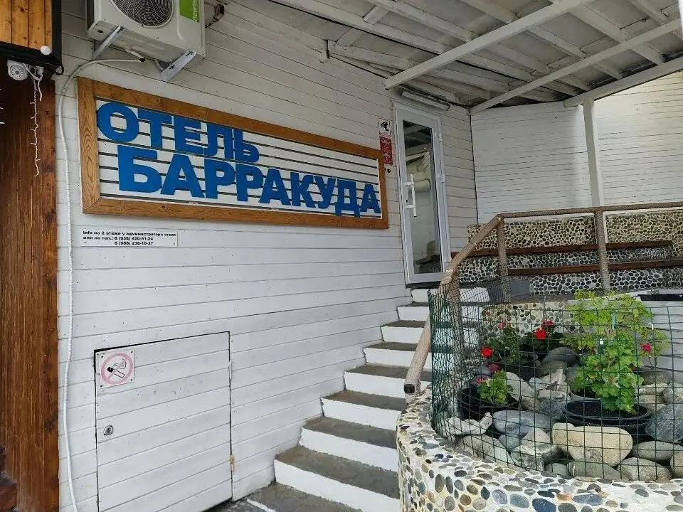 Внешний вид | Барракуда Адлер, Краснодарский край