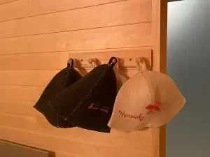 Сауна в каждом доме — База отдыха «Шахматово Вилладж», Солнечногорский район