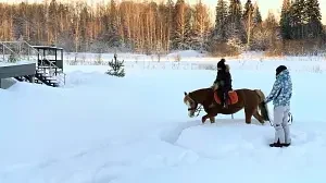 Верховая езда / Конные прогулки — База отдыха «Шахматово Вилладж», Солнечногорский район