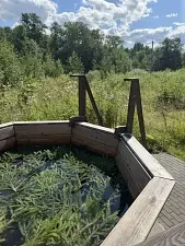 Баня с сибирским чаном — Эко-усадьба «Шанти», Калининский район