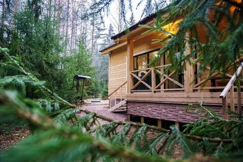 Пасторское озеро, Ленинградская область: фото 4