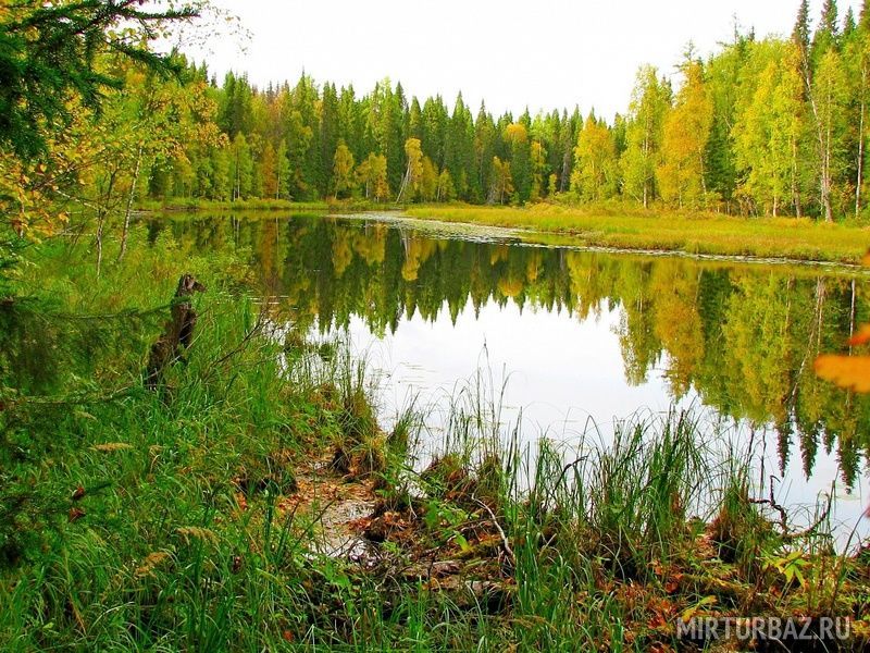 Рыболовные туры на хариуса, Архангельская область: фото 4