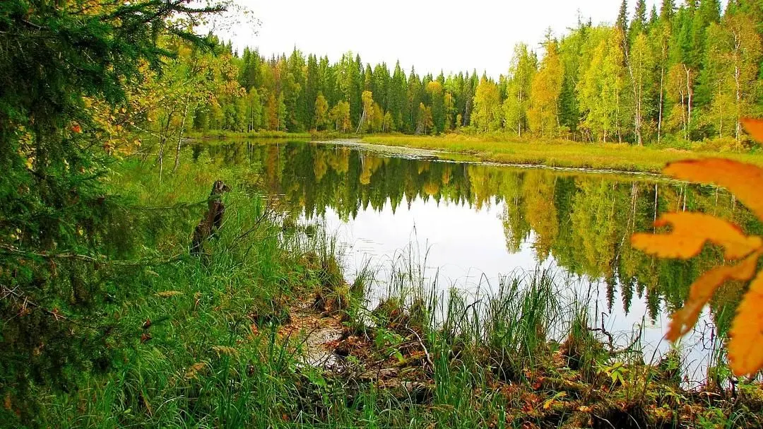 Рыболовные туры на хариуса, Архангельская область: фото 4