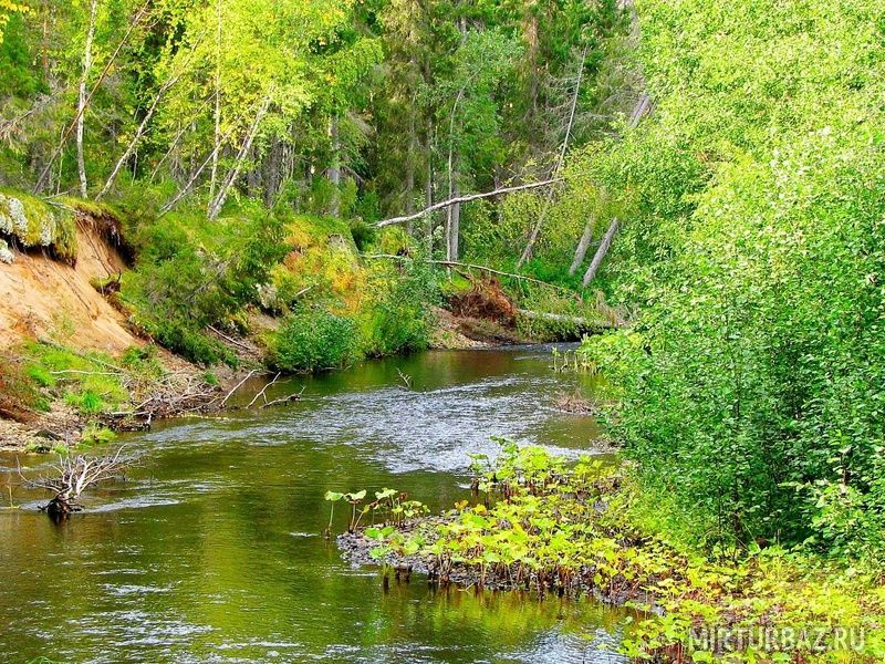 Туристический клуб Рыболовные туры на хариуса, Лешуконский район, Архангельская область