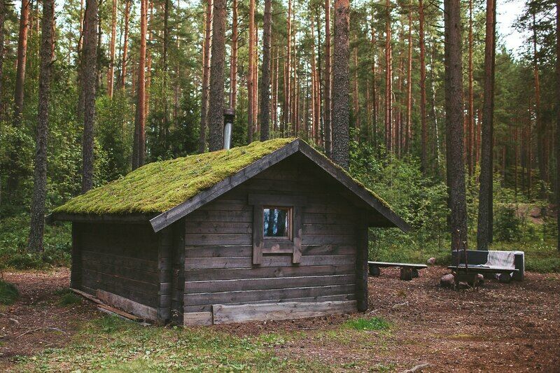 Эко-отель Лес, Ленинградская область, Выборгский район поселок Мысовое